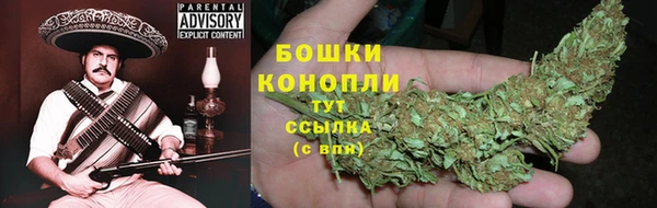PSILOCYBIN Богородицк