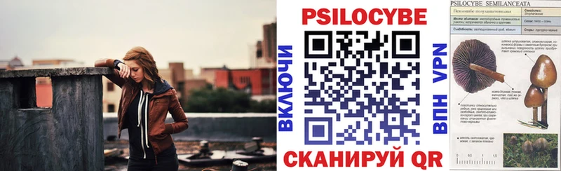 цена   MEGA tor  Псилоцибиновые грибы GOLDEN TEACHER  Киренск 
