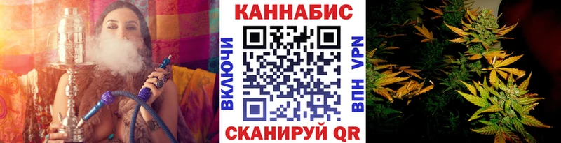 Марихуана сатива  Киренск 